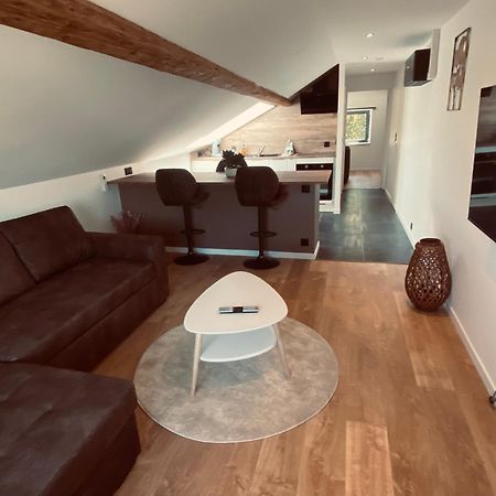 Scandinavian Appartement Saint-Avold Buitenkant foto
